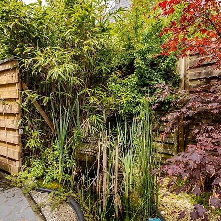 Duna - Japandi Met Topontbijt & Wellness 4* Koksijde