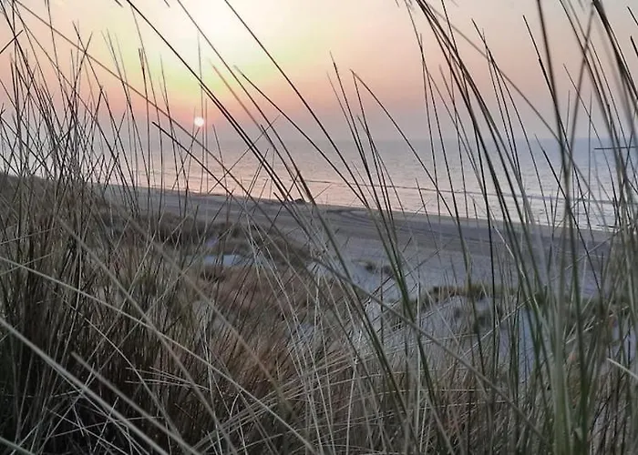 Duna - Japandi Met Topontbijt&wellness Bed & Breakfast Koksijde