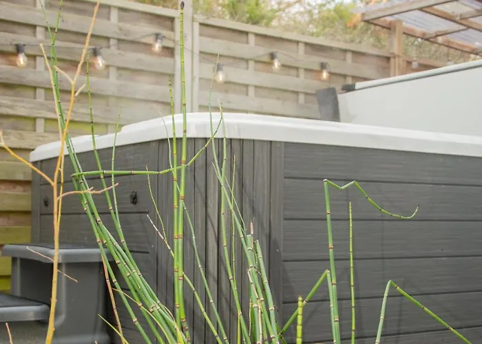 Bed & Breakfast Duna - Japandi Met Topontbijt&wellness Koksijde