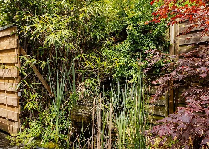 Duna - Japandi Met Topontbijt&wellness Bed & Breakfast Koksijde